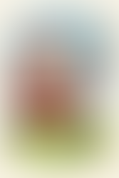 Julebold den 24. december 2025 kl.: 13:00. Ses vi?