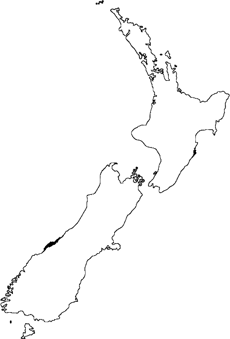 nz.gif