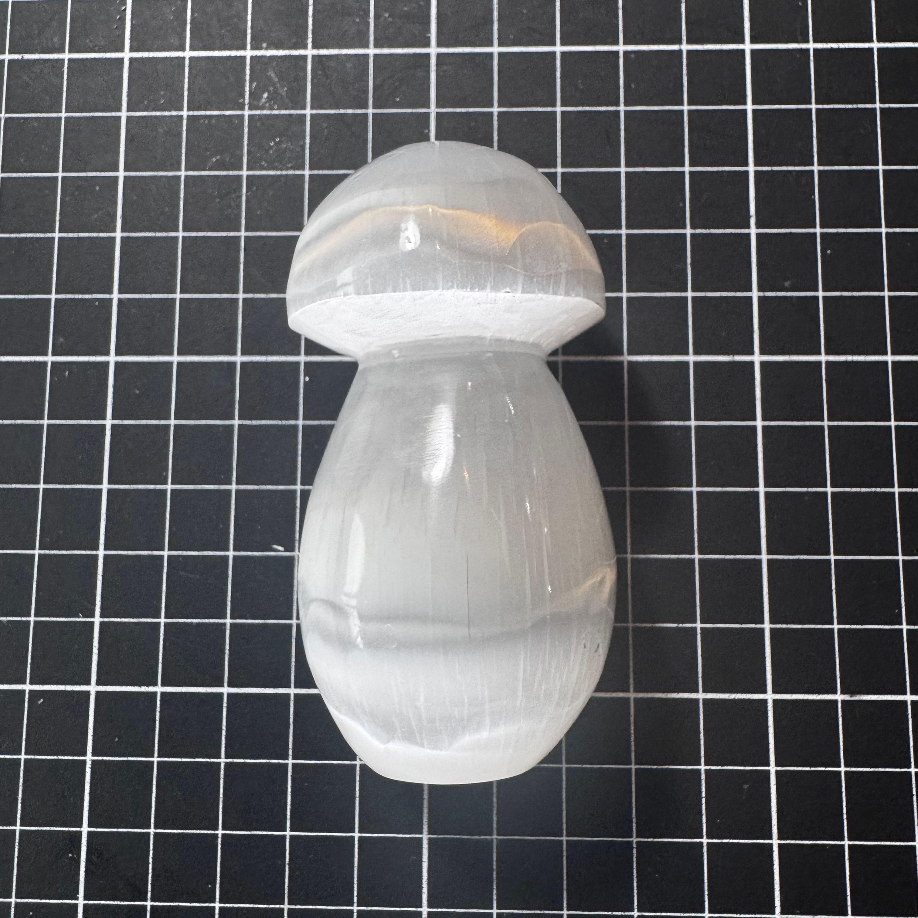 Cogumelo de Selenita