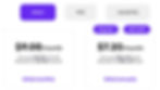 Phot.ai Pricing