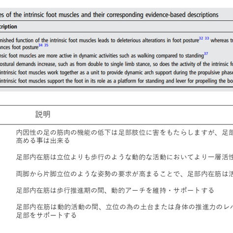 足のコアシステム②