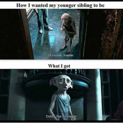 SIBLING