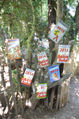 La forêt des jeux