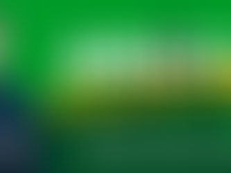 Ariccia, nasce una nuova coalizione di centrosinistra: Fabrizio Profico candidato sindaco