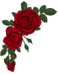 CNP Derby Roses_edited.png