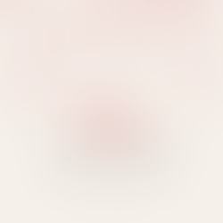 Merry Christmas and Happy New Year!