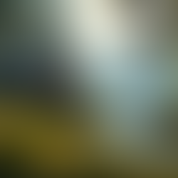 The Transformative Power of Personal Growth Retreats: Growth Retreat Ideas to Inspire You