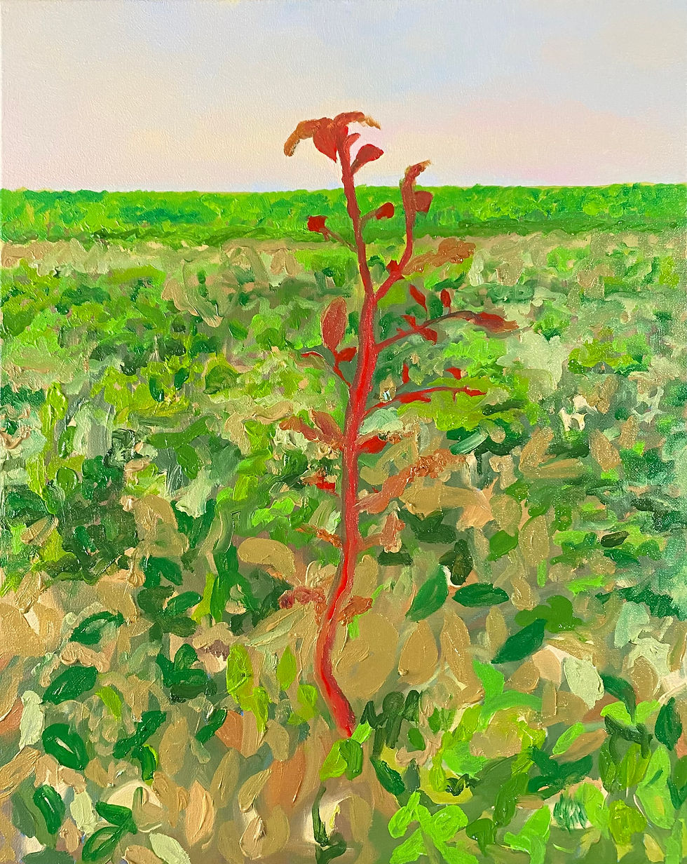 Red Plant - Jeanine Tatlock
