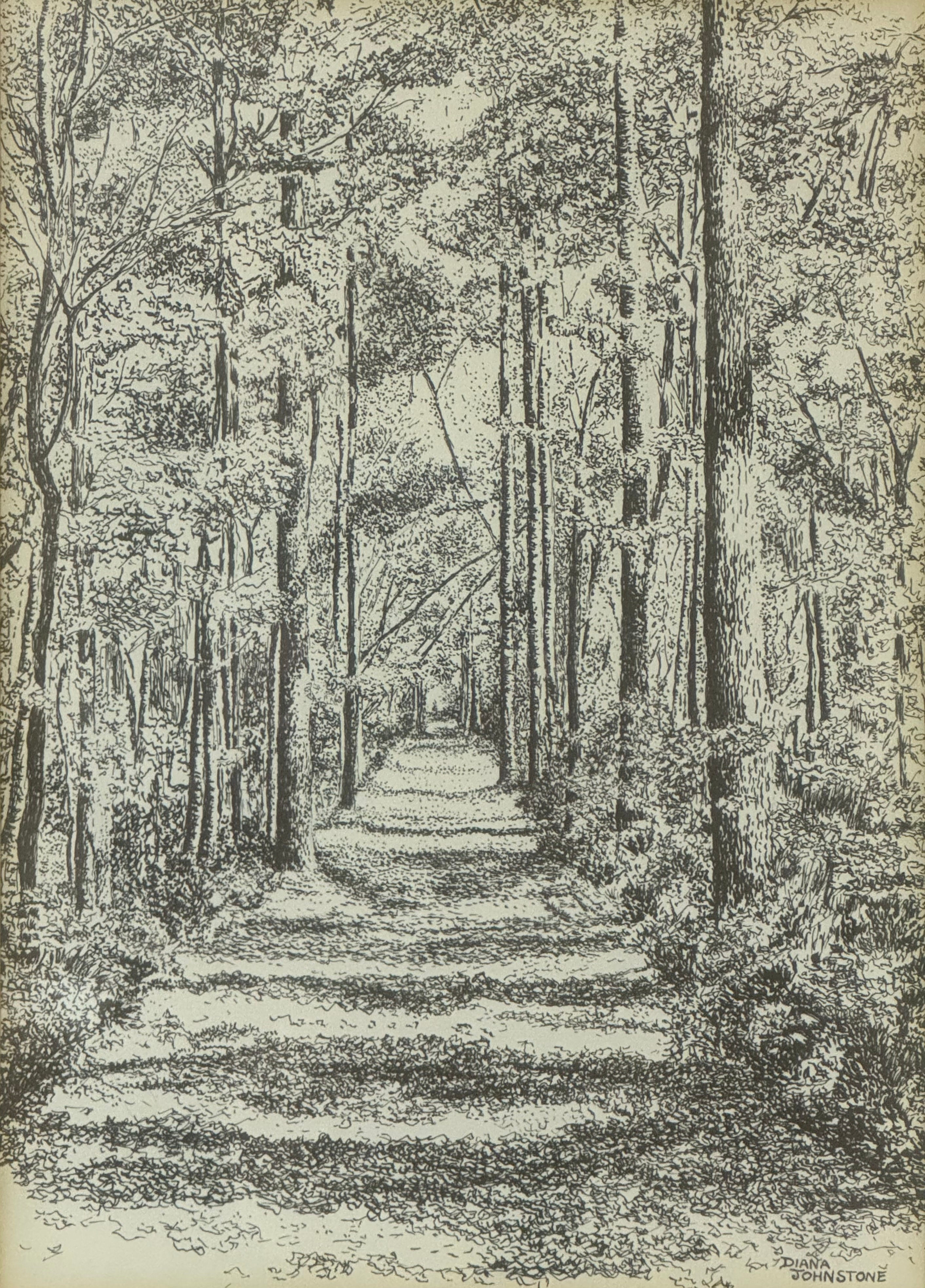 Old Munitions Factory Railroad Bed Trail in New Jersey - Diana Johnstone