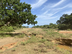 YALA NATIONAL PARK