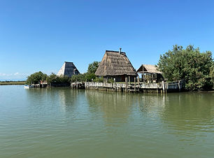 IMG_0392 (Medium).JPG