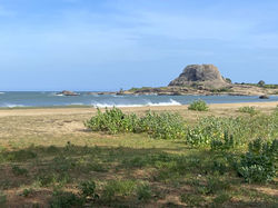 YALA NATIONAL PARK