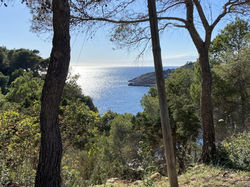 CALA SALADA