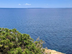 SANTE EULARIA DES RIU