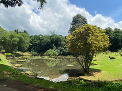 ROYAL BOTANICAL GARDEN