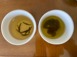 DAMRO TEA PLANTATION