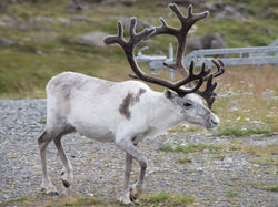 FamigliaEsploraMondo
