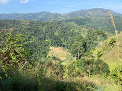 LITTLE ADAM'S PEAK