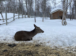POLAR PARK