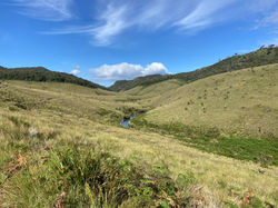 HORTON PLAINS NATIONAL PARK