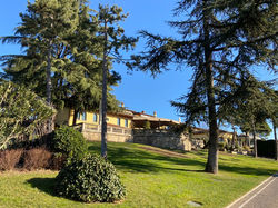 DA VITTORIO