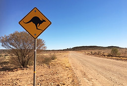 IMG_7729 (Media).JPG