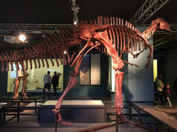 MUSEO DELLA SCIENZA PRINCIPE FELIPE