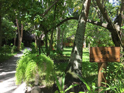 FIHALHOHI ISLAND RESORT