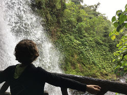 LA PAZ WATERFALL GARDENS