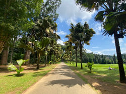 ROYAL BOTANICAL GARDEN