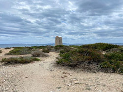 PLAYA DE SES SALINES