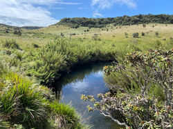 HORTON PLAINS NATIONAL PARK
