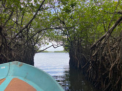 MADU RIVER