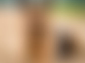 Guarding Dog Services In Bangalore