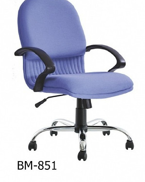 BM851.jpg