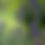 Thumbnail: Lavender Essential Oil