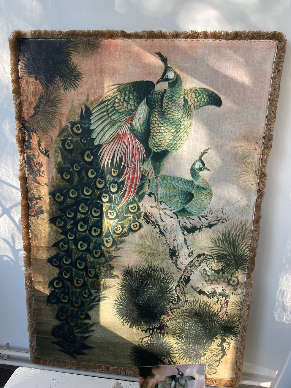 Peacock in terra (ca. 1870 Japan)