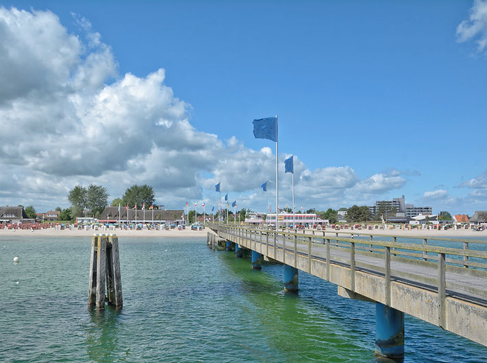 AdobeStock_214420223.jpeg