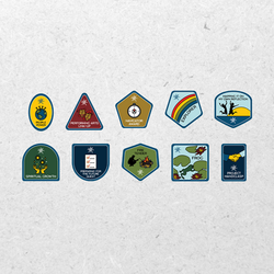 Camp Fire Emblems