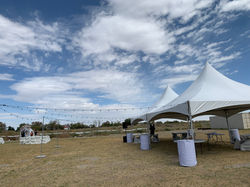 Cafe Lights with light stands