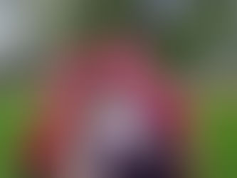 Thank you Don Allen for your service