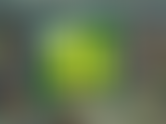 The Greater Green Bay Community Foundation chooses mTT as a Give Big Green Bay participant!