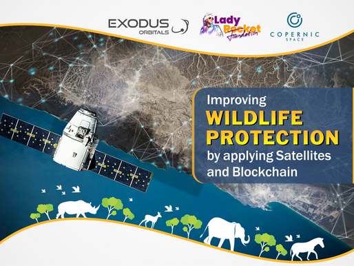 Lady Rocket together with Copernic Space engages satellite technology Startups to protect wildlife.