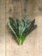 Red Mustard Mizuna