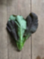 Red Mustard
