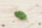 Curly Kale