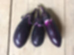 Eggplant