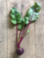Beets
