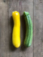 Zucchini
