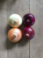 Onion